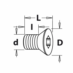 IGM Skrutka Torx - M4x2,8x4 D6 IGM