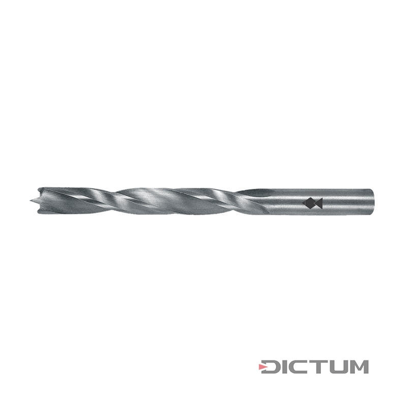 DICTUM Skrutkovací vrták do dreva Fisch Professional, Ø 6 mm 707082