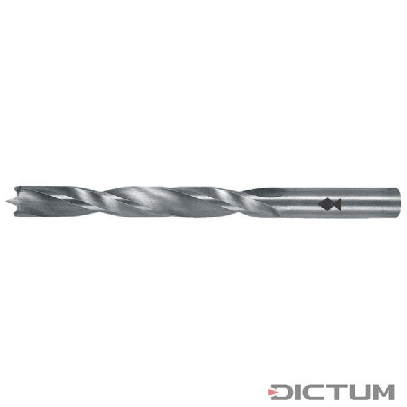 DICTUM Skrutkovací vrták do dreva Fisch Professional, Ø 10 mm 707084
