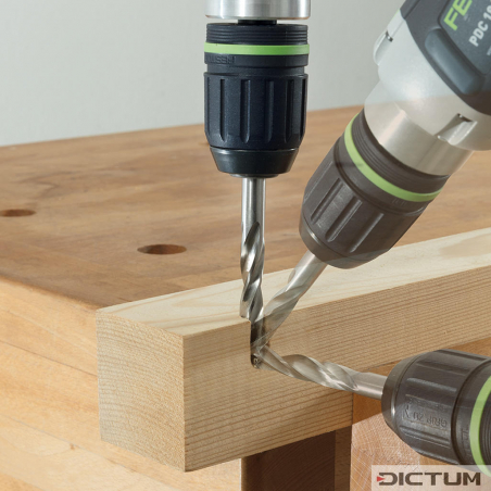 DICTUM Skrutkovací vrták do dreva Fisch Professional, Ø 10 mm 707084